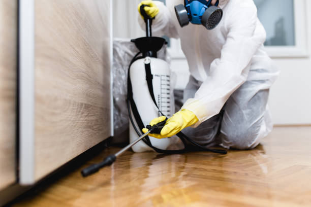 Best Affordable Pest Control Services  in La Pine, OR