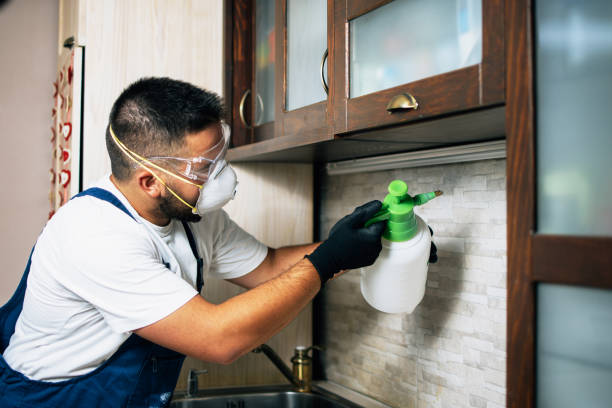 Wasp Removal Services in La Pine, OR