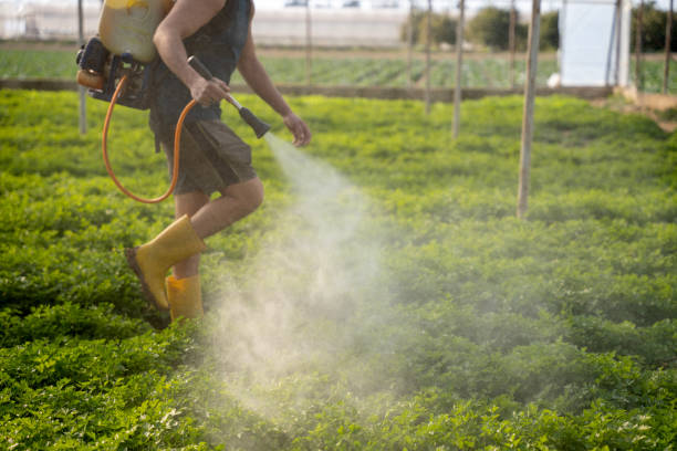 Professional Pest Control in La Pine, OR