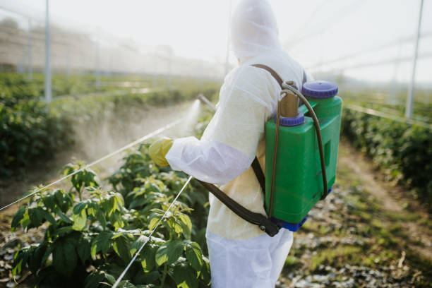 Best Local Pest Control Services  in La Pine, OR